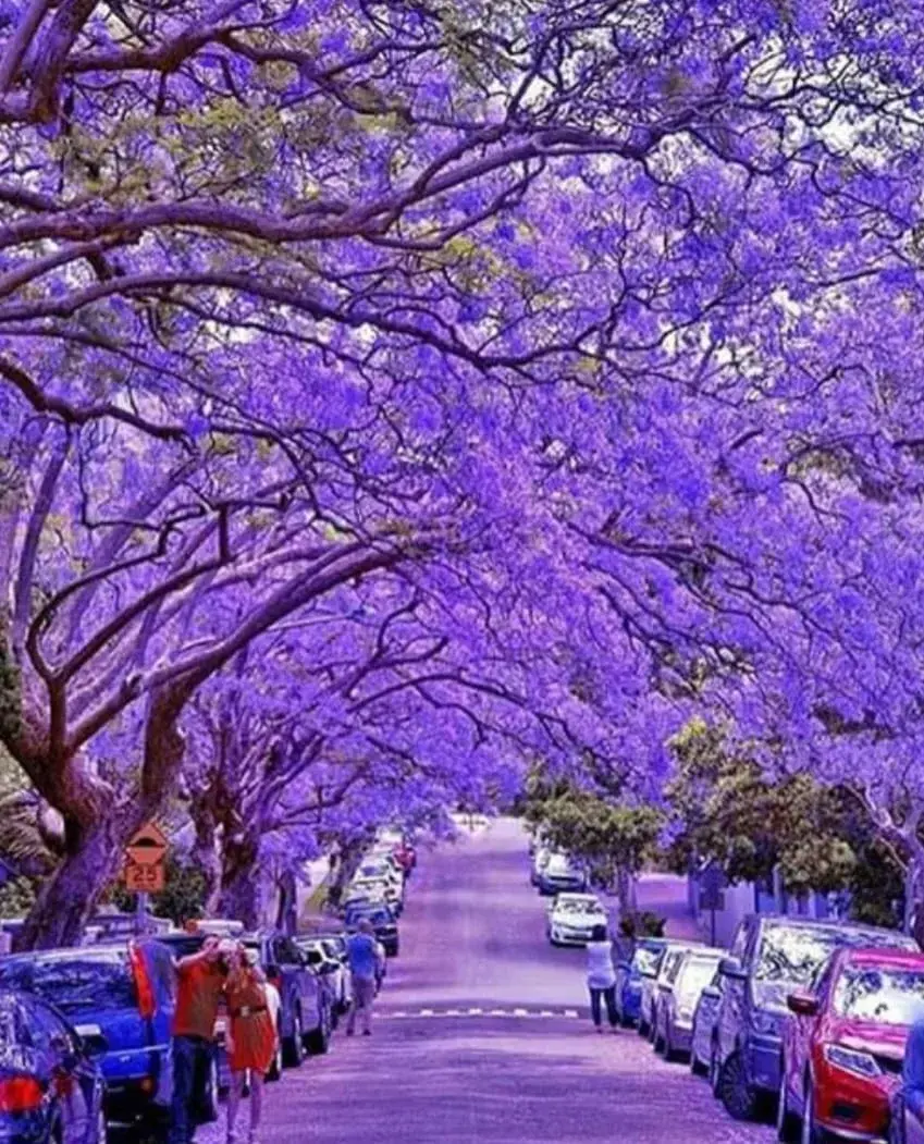 Cartelería inmobiliaria en San Isidro 7